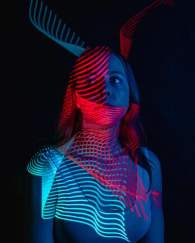 TheRabbit
